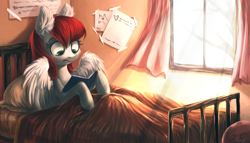 Size: 1286x735 | Tagged: safe, artist:locksto, imported from derpibooru, oc, oc only, pegasus, pony, bed, book, female, mare, reading, solo