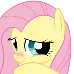 Size: 800x800 | Tagged: safe, artist:cordierite, imported from derpibooru, fluttershy, pony, blushing, bust, cute, female, mare, pixiv, portrait, shyabetes, simple background, solo, white background