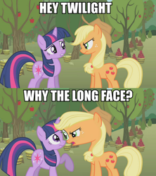 Size: 1000x1125 | Tagged: safe, edit, edited screencap, imported from derpibooru, screencap, applejack, twilight sparkle, image macro, meme, why the long face