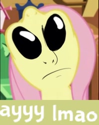 Size: 369x464 | Tagged: safe, edit, imported from derpibooru, fluttershy, alien, alien eyes, ayy lmao, expand dong, exploitable meme, faic, female, gray, meme, nightmare fuel, not salmon, reaction image, solo, uma, void eyes, wat, what horrors have been unleashed