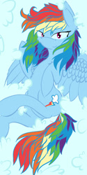 Size: 600x1200 | Tagged: safe, artist:bloody--mascarade, imported from derpibooru, rainbow dash, pegasus, pony, female, mare, solo