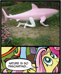 Size: 500x600 | Tagged: safe, edit, idw, imported from derpibooru, fluttershy, human, pegasus, pony, shark, clothes, cosplay, costume, exploitable meme, female, mare, meme, nature is so fascinating, obligatory pony, photo, shark costume, wat