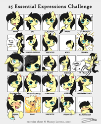 Size: 2364x2901 | Tagged: safe, artist:mrsremi, imported from derpibooru, oc, oc only, 25 expressions, facial expressions