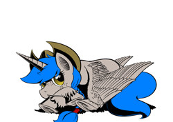 Size: 1653x1169 | Tagged: safe, artist:darkhestur, imported from derpibooru, oc, oc only, oc:sprite, alicorn, pony, cowboy hat, female, hat, mare, prone, solo