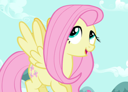 Size: 1502x1080 | Tagged: safe, imported from derpibooru, screencap, fluttershy, may the best pet win, female, solo