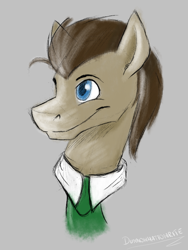 Size: 600x800 | Tagged: safe, artist:dunnowhattowrite, imported from derpibooru, doctor whooves, time turner, doodle, male, necktie, sketch, solo