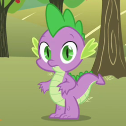 Size: 280x280 | Tagged: safe, imported from derpibooru, screencap, spike, the super speedy cider squeezy 6000, looking at you, male, solo