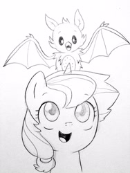 Size: 1200x1600 | Tagged: safe, artist:kianamai, imported from derpibooru, oc, oc only, oc:anthea, oc:pitaya, bat, fruit bat, pony, unicorn, kilalaverse, adopted offspring, blind, cute, female, kianamai is trying to murder us, kilala97 is trying to murder us, mare, monochrome, next generation, offspring, parent:fluttershy, parent:oc:azalea, parent:oc:berry vine, parents:oc x oc, pencil drawing, solo, traditional art