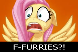 Size: 300x200 | Tagged: safe, artist:mysticalpha, imported from derpibooru, fluttershy, furry, image macro, meme, reaction, reaction image, shocked, spread wings