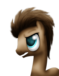 Size: 1000x1280 | Tagged: safe, artist:lupiarts, imported from derpibooru, doctor whooves, time turner, pony, male, solo