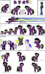 Size: 2000x3250 | Tagged: safe, artist:thunder-breaker, imported from derpibooru, oc, oc only, oc:thunder breaker, crystal pony, pegasus, pony, pony creator, discorded, family, rainbow power, rainbow power-ified, reference sheet, why