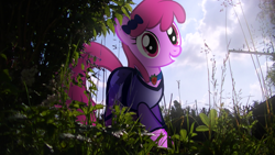 Size: 3840x2160 | Tagged: safe, artist:bastbrushie, artist:theshadowstone, imported from derpibooru, berry punch, berryshine, earth pony, pony, background pony, bow, choker, clothes, dress, female, field, hair bow, irl, mare, photo, ponies in real life, smiling, solo, vector