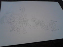 Size: 2048x1536 | Tagged: safe, artist:ponydancer, imported from derpibooru, oc, oc only, oc:cocoa bean, oc:fifthcru5ader, alicorn, pony, alicorn oc, astrid, clothes, egg, happy, hiccup horrendous the third, how to train your dragon, shoes, smiling, toothless the dragon