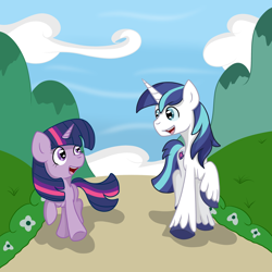 Size: 3000x3000 | Tagged: safe, artist:bigmackintosh, imported from derpibooru, shining armor, twilight sparkle, bbbff, colt, filly