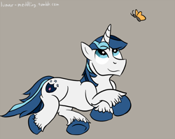 Size: 1024x815 | Tagged: safe, imported from derpibooru, shining armor, butterfly, pony, unicorn, eyes open, gray background, horn, looking up, male, simple background, solo, stallion