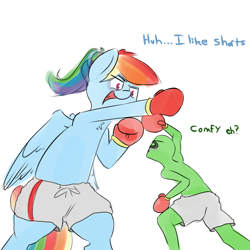 Size: 800x800 | Tagged: safe, artist:askcanadash, imported from derpibooru, rainbow dash, oc, oc:anon, human, pony, alternate hairstyle, bipedal, black eye, boxing, boxing gloves, clothes, giant pony, macro, open mouth, ponytail, random, shorts, size difference