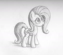 Size: 2154x1874 | Tagged: safe, artist:bugplayer, imported from derpibooru, fluttershy, pegasus, pony, female, grayscale, mare, monochrome, pencil drawing, puzzled, solo, traditional art