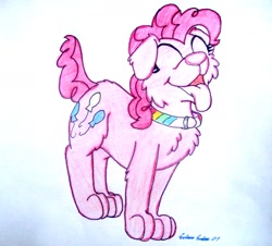 Size: 1266x1146 | Tagged: safe, artist:silversimba01, imported from derpibooru, pinkie pie, dog, collar, dogified, female, puppy pie, solo, species swap, traditional art