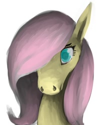 Size: 557x701 | Tagged: safe, artist:tempusfidgets, imported from derpibooru, fluttershy, portrait, solo