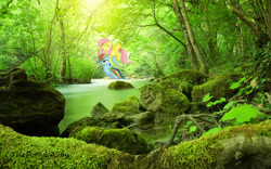 Size: 1920x1200 | Tagged: safe, artist:scrimpeh, artist:thepwnyisaspy, imported from derpibooru, fluttershy, rainbow dash, carrying, creek, flying, irl, moss, photo, ponies in real life, rock, tree, unamused, vector