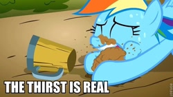 Size: 640x360 | Tagged: safe, imported from derpibooru, rainbow dash, cider, dashaholic, the thirst is real