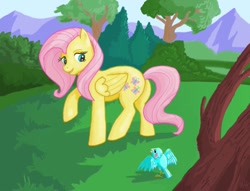 Size: 1021x782 | Tagged: safe, artist:sorcerushorserus, imported from derpibooru, fluttershy, bird, female, solo