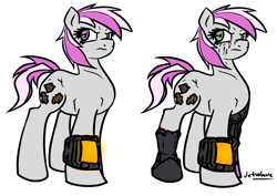 Size: 1019x720 | Tagged: safe, artist:jetwave, imported from derpibooru, oc, oc only, oc:hired gun, cyborg, earth pony, pony, fallout equestria, fallout equestria: heroes, amputee, female, injured, mare, prosthetics, solo