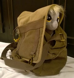 Size: 825x865 | Tagged: safe, artist:zombies8mywaffle, imported from derpibooru, derpy hooves, pegasus, pony, bag, cute, derpabetes, female, irl, mare, peekaboo, peeking, photo, plushie, pony in a bag, solo