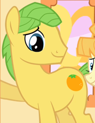 Size: 336x437 | Tagged: safe, imported from derpibooru, screencap, aunt orange, mosely orange, uncle orange, the cutie mark chronicles