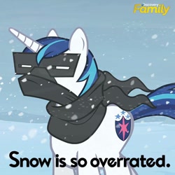 Size: 550x550 | Tagged: safe, imported from derpibooru, shining armor, discovery family, discovery family logo, official, text, truth