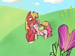 Size: 748x563 | Tagged: safe, artist:shanny-bananie, artist:sweetsrmything, imported from derpibooru, big macintosh, pinkie pie, earth pony, pony, flower, male, pinkiemac, shipping, stallion, straight