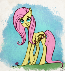 Size: 900x979 | Tagged: safe, artist:bluefluffydinosaur, imported from derpibooru, fluttershy, female, solo