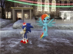 Size: 1280x960 | Tagged: safe, artist:famguy3, imported from derpibooru, rainbow dash, 3d, christmas lights, crossover, gmod, hat, house, rock, santa hat, snow, snowfall, snowman, sonic the hedgehog, sonic the hedgehog (series), tree, vase, wall