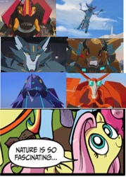 Size: 1128x1574 | Tagged: safe, edit, idw, imported from derpibooru, fluttershy, pegasus, pony, bisk, exploitable meme, female, filch, hammerstrike, mare, meme, nature is so fascinating, obligatory pony, ped, steeljaw, terrashock, transformers, transformers robots in disguise (2015)