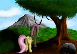 Size: 800x565 | Tagged: safe, artist:the1xeno1, imported from derpibooru, fluttershy, pony, female, solo