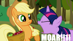 Size: 680x381 | Tagged: safe, edit, edited screencap, imported from derpibooru, screencap, applejack, twilight sparkle, applebuck season, apple, image macro, meme, moar