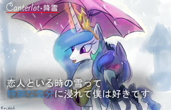 Size: 1200x771 | Tagged: safe, artist:grissaecrim, artist:raikoh, imported from derpibooru, princess celestia, princess luna, blushing, female, incest, interview, japanese, lesbian, magic, meme, princest, rain, shipping, snow, snowfall, special feeling, umbrella