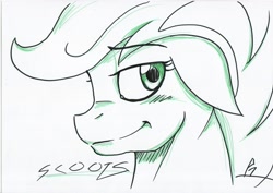 Size: 3504x2484 | Tagged: safe, artist:whitepone, imported from derpibooru, scootaloo, female, solo, traditional art