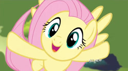 Size: 854x475 | Tagged: safe, imported from derpibooru, screencap, fluttershy, filli vanilli, cute, female, flying, hub logo, singing, solo