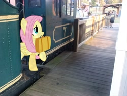 Size: 2592x1944 | Tagged: safe, artist:bobthelurker, artist:techrainbow, artist:tokkazutara1164, imported from derpibooru, fluttershy, human, irl, luggage, mouth hold, photo, ponies in real life, solo, train, train station, vector