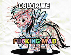 Size: 1280x1000 | Tagged: safe, imported from derpibooru, rainbow dash, angry, female, image macro, meme, pun, solo, visual pun, vulgar