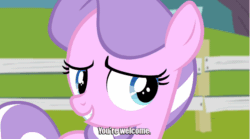 Size: 620x345 | Tagged: safe, imported from derpibooru, screencap, diamond tiara, earth pony, pony, twilight time, animated, female, filly, gif, solo, subtitles, you're welcome