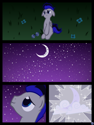 Size: 3456x4608 | Tagged: safe, artist:template93, imported from derpibooru, absurd resolution, blank flank, commission, glasses, hijo de la luna, moon, night, solo