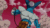 Size: 500x278 | Tagged: safe, edit, imported from derpibooru, fluttershy, animated, bardock, bardock kicks, dragon ball, dragon ball z, female, head swap, image macro, kick, male, meme, memecenter, story of bardock, toobi