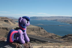Size: 2816x1880 | Tagged: safe, artist:lovelylittlelemon, imported from derpibooru, twilight sparkle, irl, photo, plushie, ponies around the world, solo