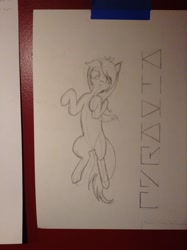 Size: 1936x2592 | Tagged: safe, artist:pyravia, deleted from derpibooru, imported from derpibooru, oc, oc only, earth pony, pony, belly, cute, pinup, sketch, solo, wip