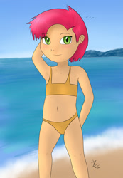 Size: 900x1300 | Tagged: safe, artist:zekromlover, imported from derpibooru, babs seed, human, beach, belly button, bikini, clothes, female, humanized, ocean, solo, sports bra, swimsuit, water