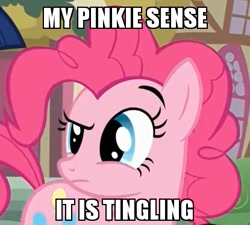 Size: 415x374 | Tagged: safe, imported from derpibooru, pinkie pie, face, female, image macro, meme, pinkie sense, raised eyebrow, solo