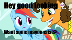 Size: 900x501 | Tagged: safe, edit, edited screencap, imported from derpibooru, screencap, cheese sandwich, rainbow dash, pegasus, pony, pinkie pride, caption, female, innuendo, male, mare, meme, out of context, stallion