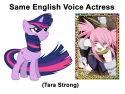 Size: 800x600 | Tagged: safe, imported from derpibooru, twilight sparkle, exploitable meme, meme, presea combatir, same voice actor, tales of series, tales of symphonia, tara strong